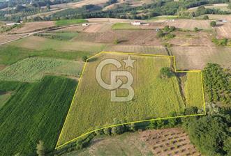 KANDIRA İNCECİK MAH.16.500M2 SATILIK YOLA 120 M KÖYE 600 M TARLA