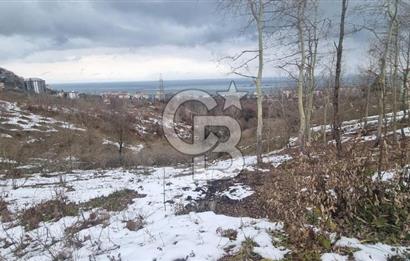 TRABZON ARSİN DE SAHİLE 1 KM DENİZ MANZARALI SATILIK ARSA