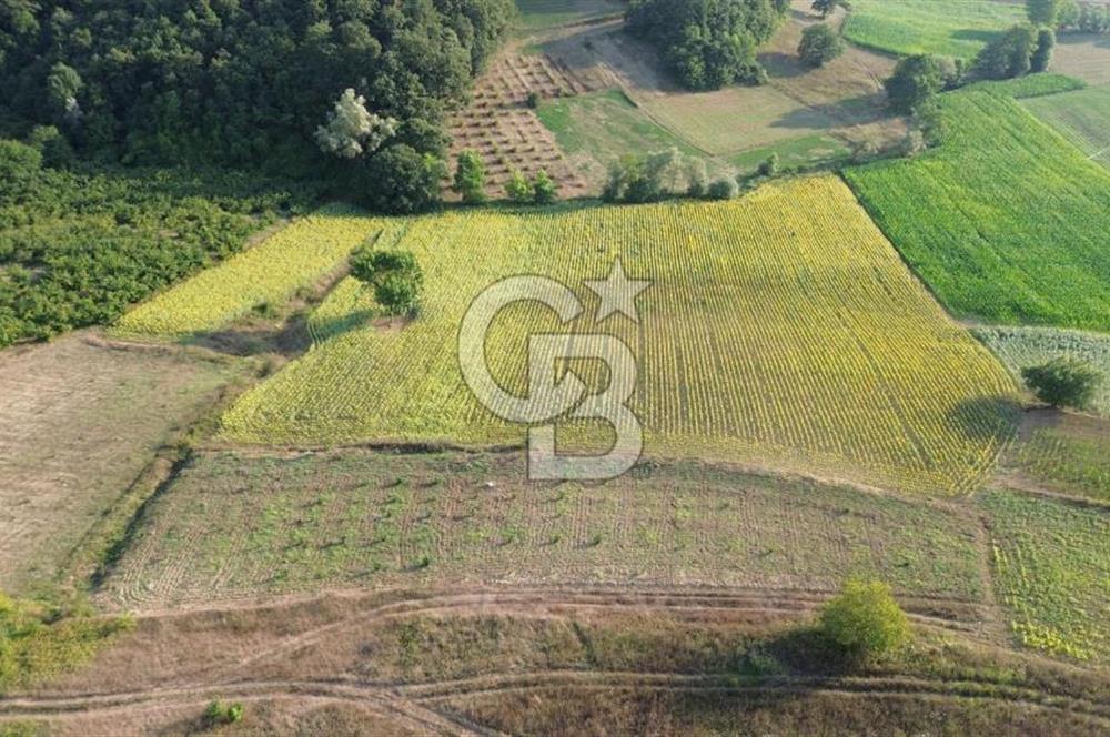 KANDIRA İNCECİK MAH.16.500M2 SATILIK YOLA 120 M KÖYE 600 M TARLA
