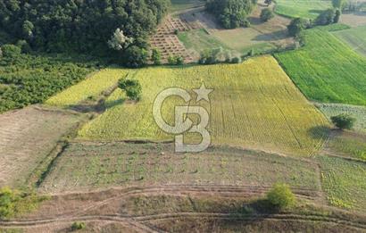 KANDIRA İNCECİK MAH.16.500M2 SATILIK YOLA 120 M KÖYE 600 M TARLA