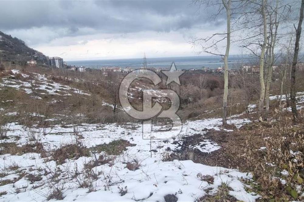 TRABZON ARSİN DE SAHİLE 1 KM DENİZ MANZARALI SATILIK ARSA