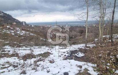 TRABZON ARSİN DE SAHİLE 1 KM DENİZ MANZARALI SATILIK ARSA