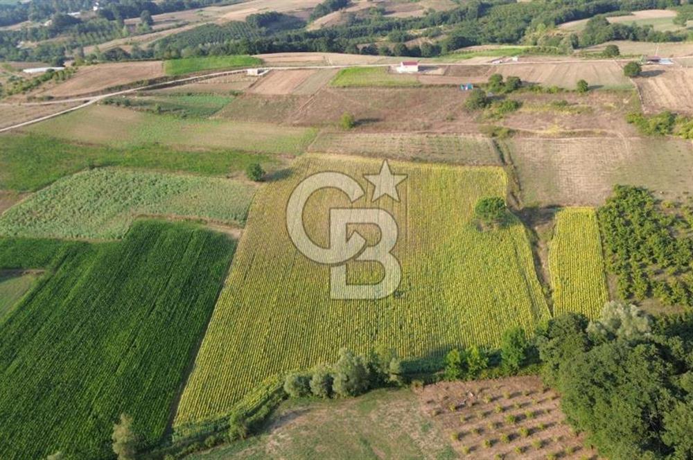 KANDIRA İNCECİK MAH.16.500M2 SATILIK YOLA 120 M KÖYE 600 M TARLA