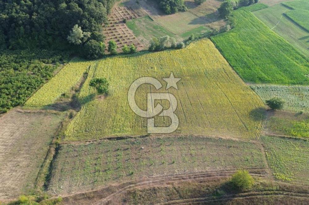 KANDIRA İNCECİK MAH.16.500M2 SATILIK YOLA 120 M KÖYE 600 M TARLA