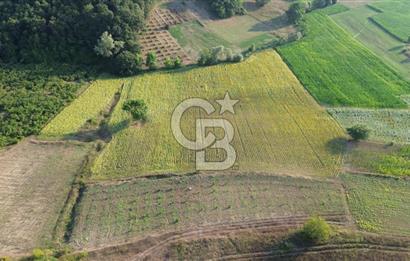 KANDIRA İNCECİK MAH.16.500M2 SATILIK YOLA 120 M KÖYE 600 M TARLA