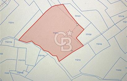 KANDIRA İNCECİK MAH.16.500M2 SATILIK YOLA 120 M KÖYE 600 M TARLA