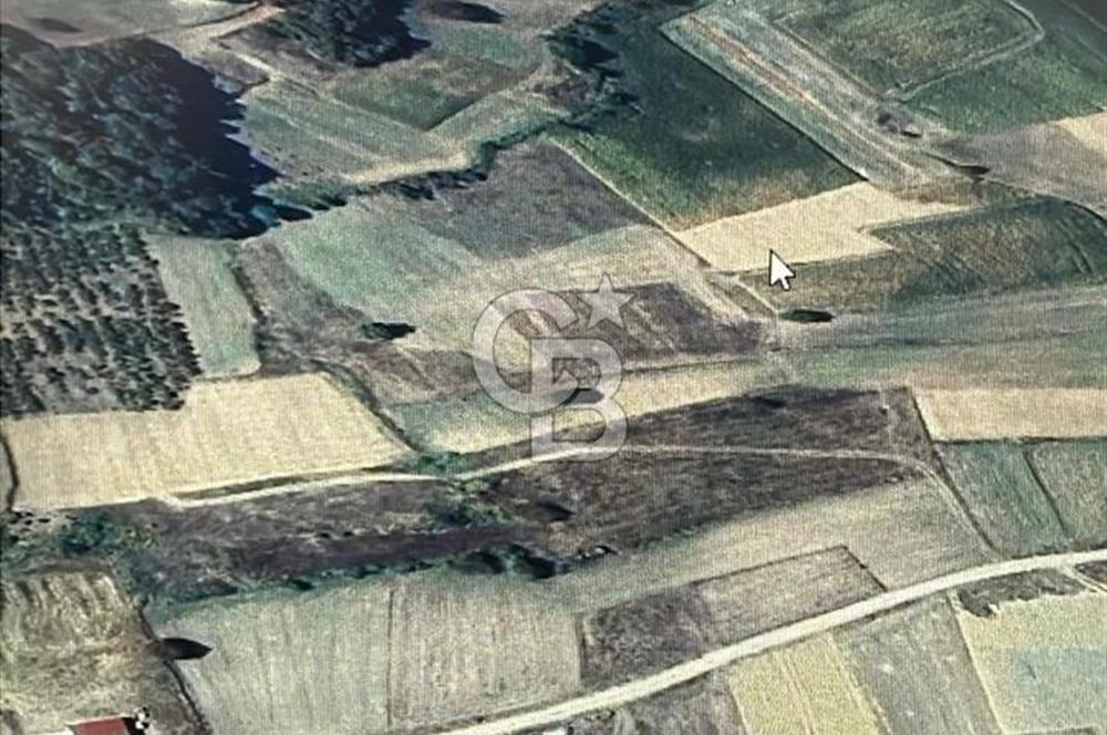 KANDIRA İNCECİK MAH.16.500M2 SATILIK YOLA 120 M KÖYE 600 M TARLA