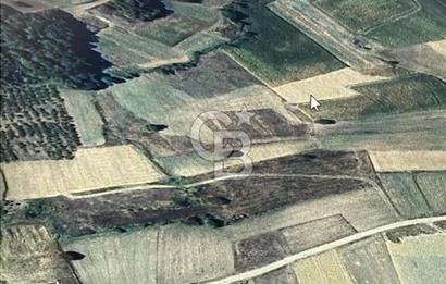 KANDIRA İNCECİK MAH.16.500M2 SATILIK YOLA 120 M KÖYE 600 M TARLA