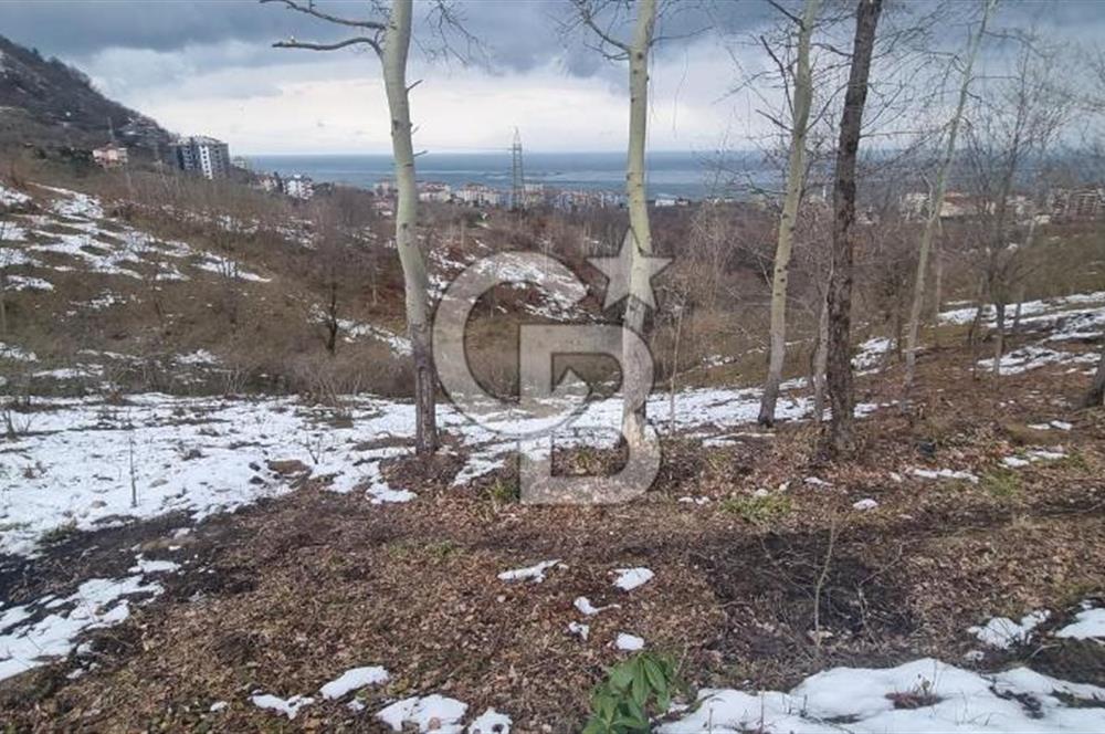 TRABZON ARSİN DE SAHİLE 1 KM DENİZ MANZARALI SATILIK ARSA
