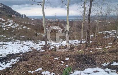 TRABZON ARSİN DE SAHİLE 1 KM DENİZ MANZARALI SATILIK ARSA