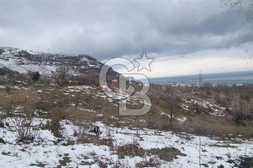 TRABZON ARSİN DE SAHİLE 1 KM DENİZ MANZARALI SATILIK ARSA