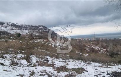 TRABZON ARSİN DE SAHİLE 1 KM DENİZ MANZARALI SATILIK ARSA