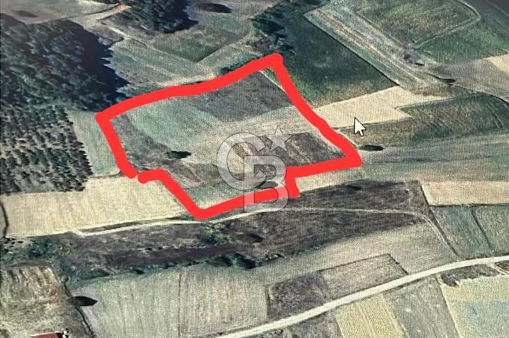 KANDIRA İNCECİK MAH.16.500M2 SATILIK YOLA 120 M KÖYE 600 M TARLA