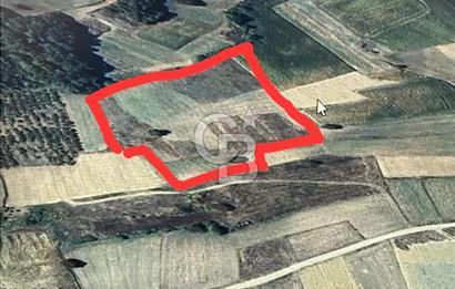 KANDIRA İNCECİK MAH.16.500M2 SATILIK YOLA 120 M KÖYE 600 M TARLA