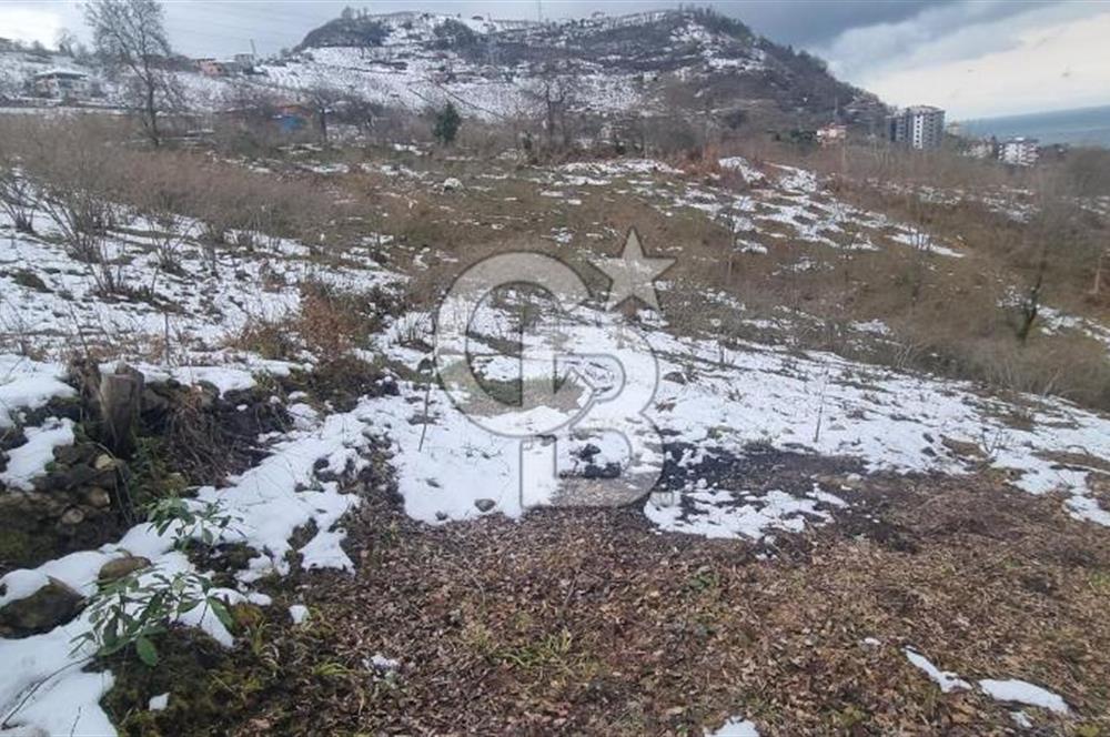 TRABZON ARSİN DE SAHİLE 1 KM DENİZ MANZARALI SATILIK ARSA