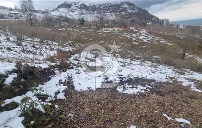 TRABZON ARSİN DE SAHİLE 1 KM DENİZ MANZARALI SATILIK ARSA
