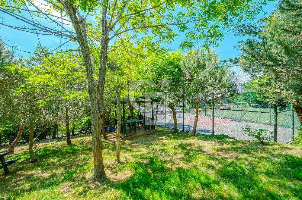 Sarıyer Boğaziçi Park Evleri Koç Ünv Komşu 320m2 Kiralık Dubleks