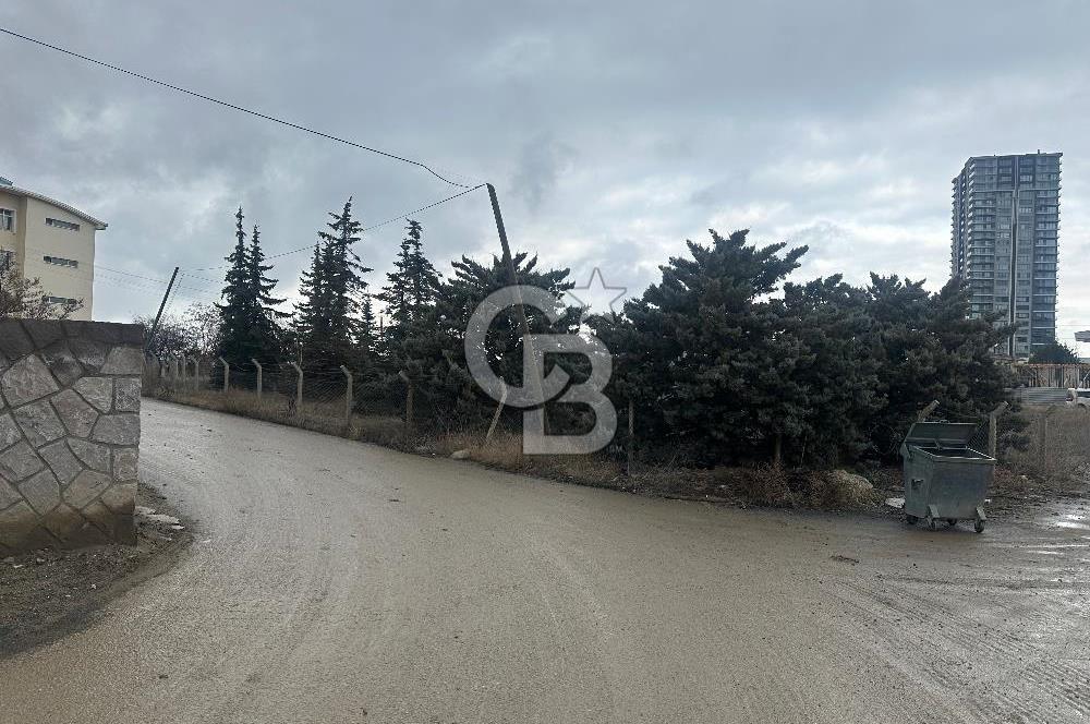 İNCEKTE KAÇIRILMAYACAK YATIRIM FIRSATI