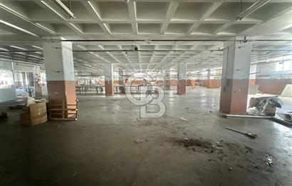 Beylikdüzü Kiralık Fabrika 1350 M2 Yük Asansörlü