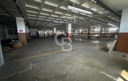 Beylikdüzü Kiralık Fabrika 1350 M2 Yük Asansörlü