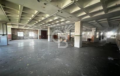 Beylikdüzü Kiralık Fabrika 1350 M2 Yük Asansörlü