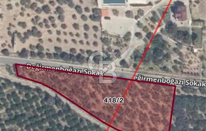 İzmir Selçuk Şirince’de Yola cepheli 4310 m2 incir bahçesi