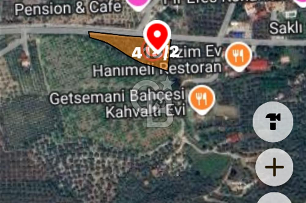 İzmir Selçuk Şirince’de Yola cepheli 4310 m2 incir bahçesi