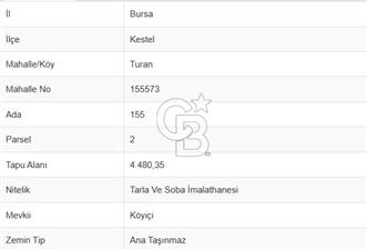 KESTEL;TURAN MH. 500 m2 KAPALI ALANLI KÖY İMARLI SATILIK ARSA