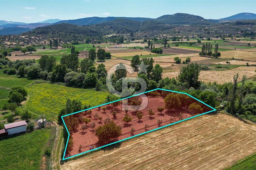 Muğla / Yatağan / Hisarardı – Aşağıova Mevkii 3.393 m2 Satılık Tarla