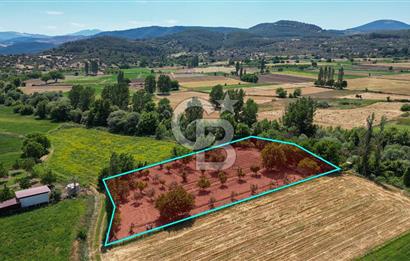 Muğla / Yatağan / Hisarardı – Aşağıova Mevkii 3.393 m2 Satılık Tarla