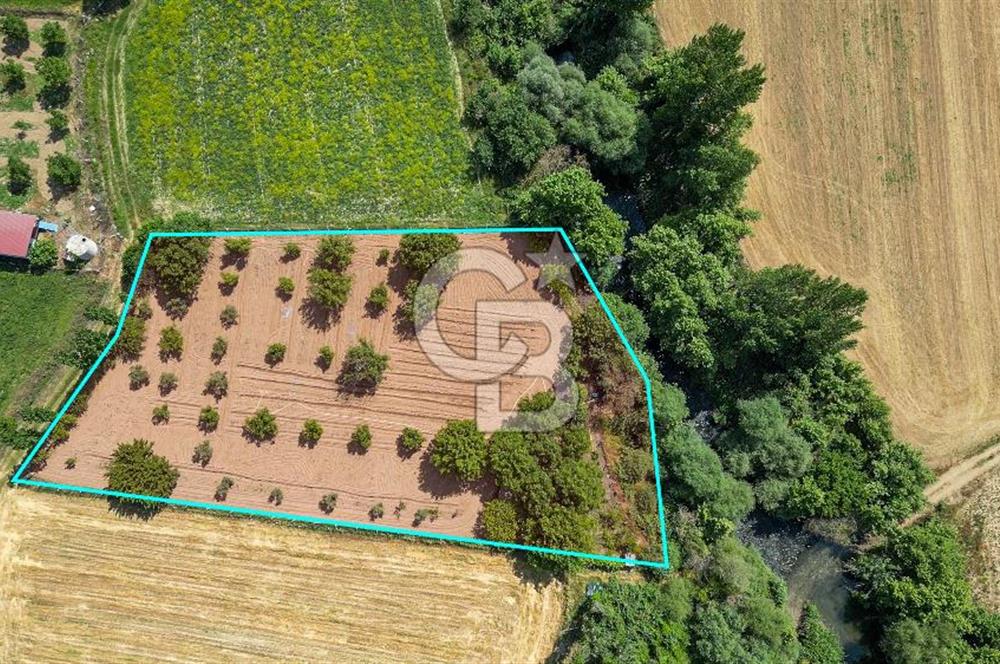 Muğla / Yatağan / Hisarardı – Aşağıova Mevkii 3.393 m2 Satılık Tarla