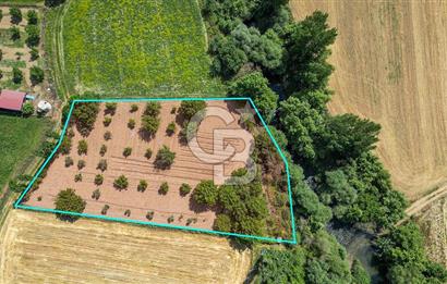 Muğla / Yatağan / Hisarardı – Aşağıova Mevkii 3.393 m2 Satılık Tarla
