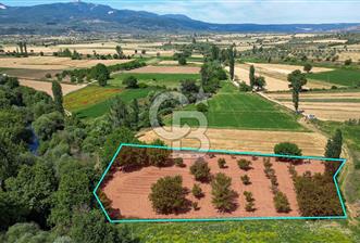 Muğla / Yatağan / Hisarardı – Aşağıova Mevkii 3.393 m2 Satılık Tarla