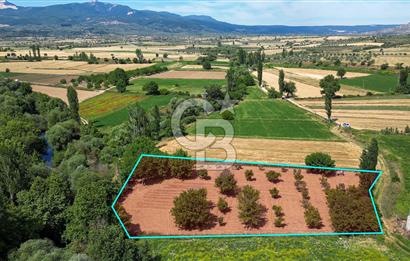 Muğla / Yatağan / Hisarardı – Aşağıova Mevkii 3.393 m2 Satılık Tarla