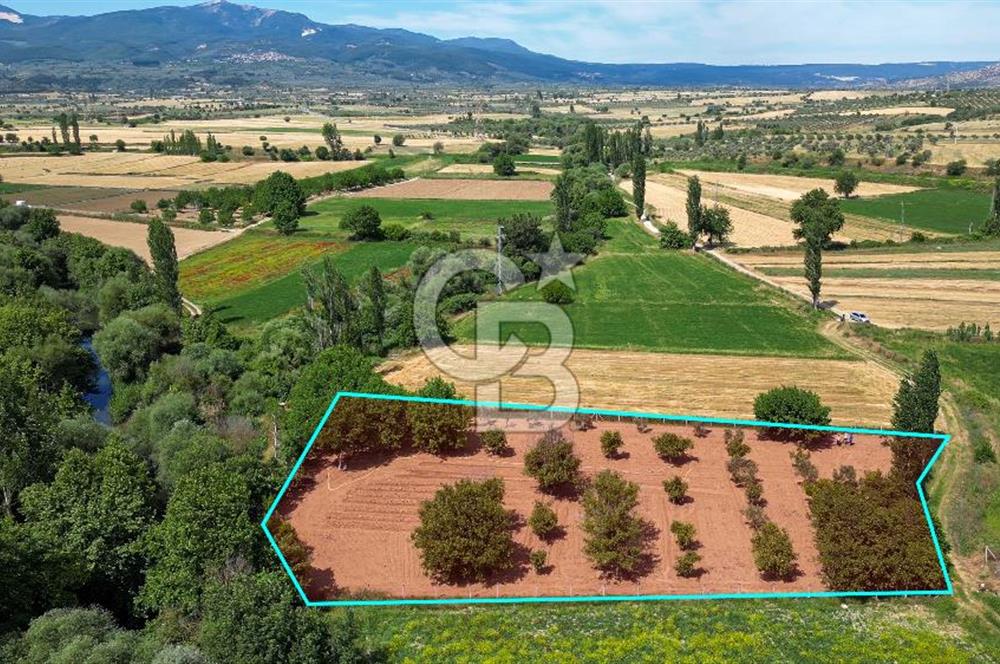 Muğla / Yatağan / Hisarardı – Aşağıova Mevkii 3.393 m2 Satılık Tarla