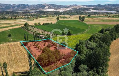 Muğla / Yatağan / Hisarardı – Aşağıova Mevkii 3.393 m2 Satılık Tarla