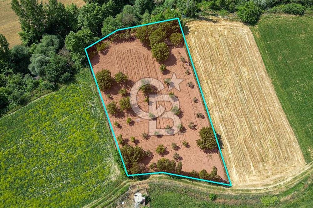 Muğla / Yatağan / Hisarardı – Aşağıova Mevkii 3.393 m2 Satılık Tarla