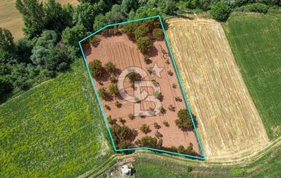 Muğla / Yatağan / Hisarardı – Aşağıova Mevkii 3.393 m2 Satılık Tarla