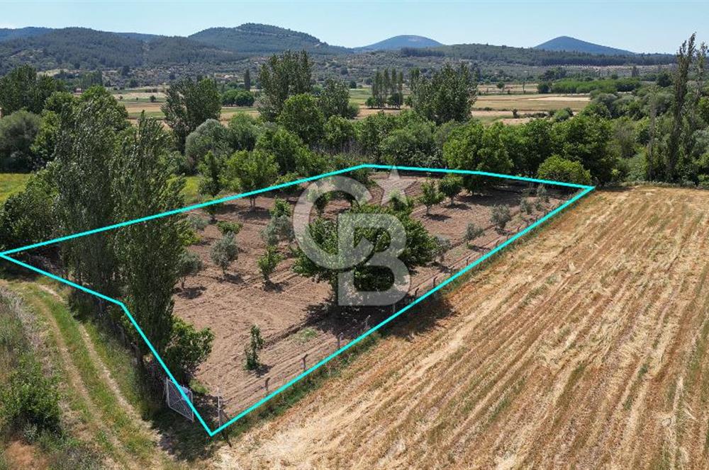 Muğla / Yatağan / Hisarardı – Aşağıova Mevkii 3.393 m2 Satılık Tarla