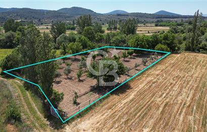 Muğla / Yatağan / Hisarardı – Aşağıova Mevkii 3.393 m2 Satılık Tarla