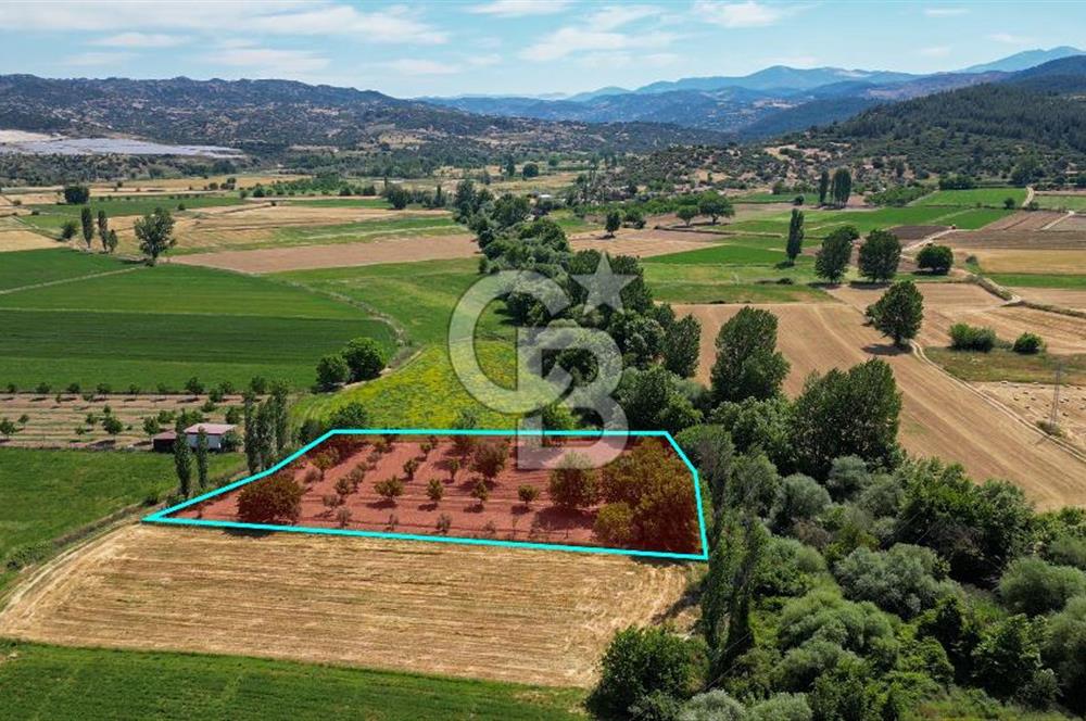 Muğla / Yatağan / Hisarardı – Aşağıova Mevkii 3.393 m2 Satılık Tarla
