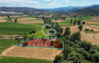 Muğla / Yatağan / Hisarardı – Aşağıova Mevkii 3.393 m2 Satılık Tarla