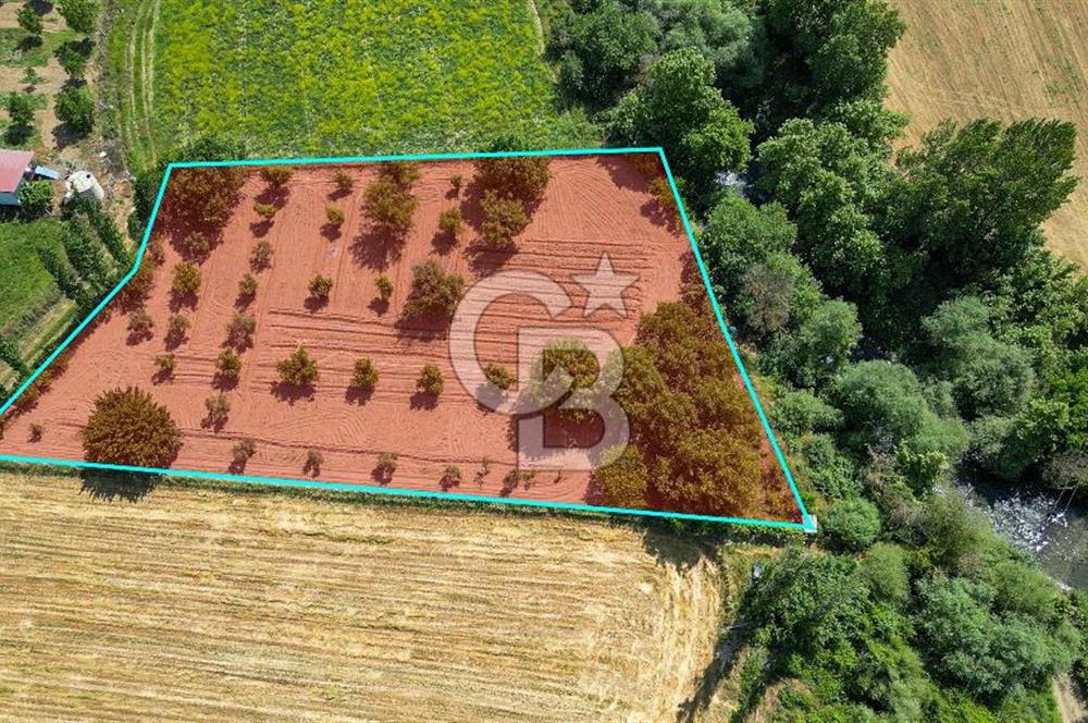 Muğla / Yatağan / Hisarardı – Aşağıova Mevkii 3.393 m2 Satılık Tarla