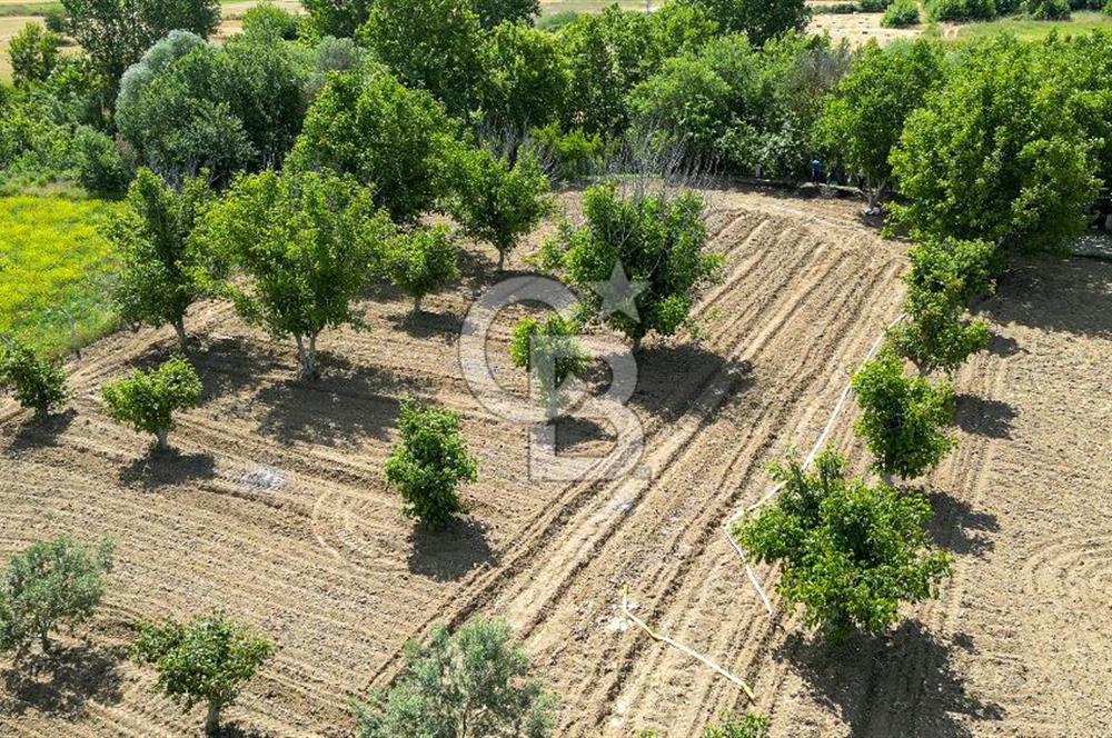 Muğla / Yatağan / Hisarardı – Aşağıova Mevkii 3.393 m2 Satılık Tarla
