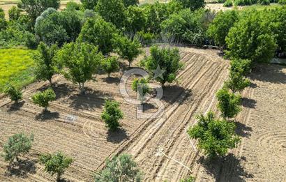 Muğla / Yatağan / Hisarardı – Aşağıova Mevkii 3.393 m2 Satılık Tarla