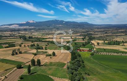 Muğla / Yatağan / Hisarardı – Aşağıova Mevkii 3.393 m2 Satılık Tarla