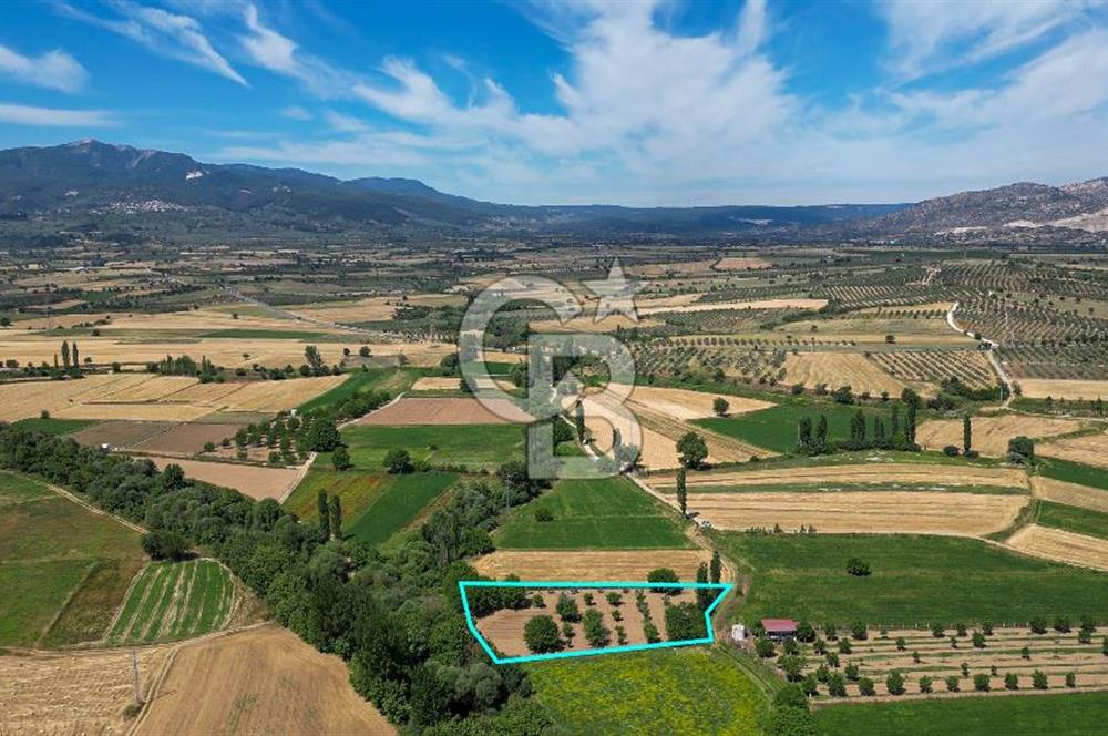 Muğla / Yatağan / Hisarardı – Aşağıova Mevkii 3.393 m2 Satılık Tarla