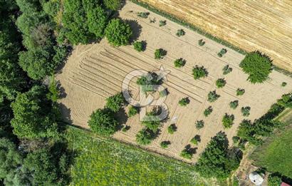 Muğla / Yatağan / Hisarardı – Aşağıova Mevkii 3.393 m2 Satılık Tarla
