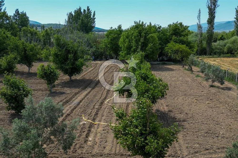 Muğla / Yatağan / Hisarardı – Aşağıova Mevkii 3.393 m2 Satılık Tarla