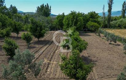Muğla / Yatağan / Hisarardı – Aşağıova Mevkii 3.393 m2 Satılık Tarla